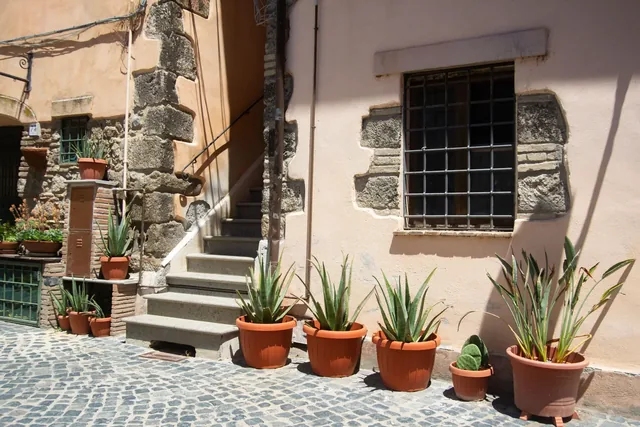 Steps between stone houses and potted plants in Trevignano Romano’s old town